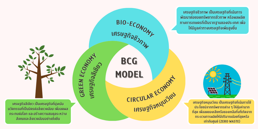 BCG โมเดลเศรษฐกิจแนวใหม่เพื่อความยั่งยืน