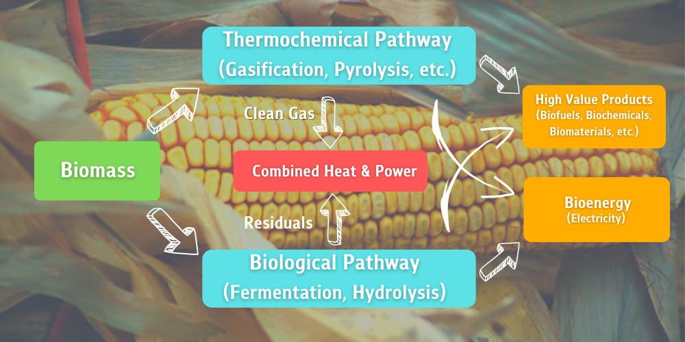 Biorefinery